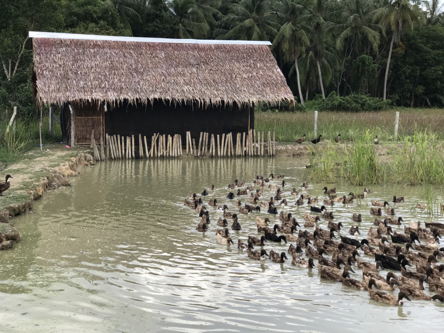 พัฒนาการอำเภอแม่ลาน พร้อมด้วยเจ้าหน้าที่พัฒนาชุมชน ส่งมอบของขวัญจากผู้อุปการะเด็ก กองทุนพัฒนาเด็กชนบทในพระราชูปถัมภ์สมเด็จพระเทพรัตนราชสุดาฯ และติดตามการดำเนินงานในพื้นที่