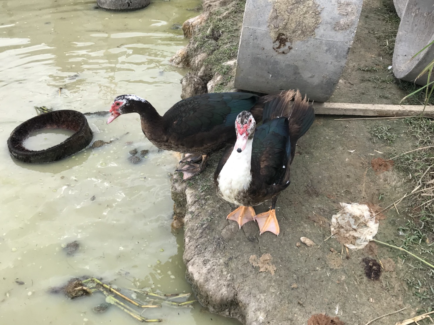 พัฒนาการอำเภอแม่ลาน พร้อมด้วยเจ้าหน้าที่พัฒนาชุมชน ส่งมอบของขวัญจากผู้อุปการะเด็ก กองทุนพัฒนาเด็กชนบทในพระราชูปถัมภ์สมเด็จพระเทพรัตนราชสุดาฯ และติดตามการดำเนินงานในพื้นที่