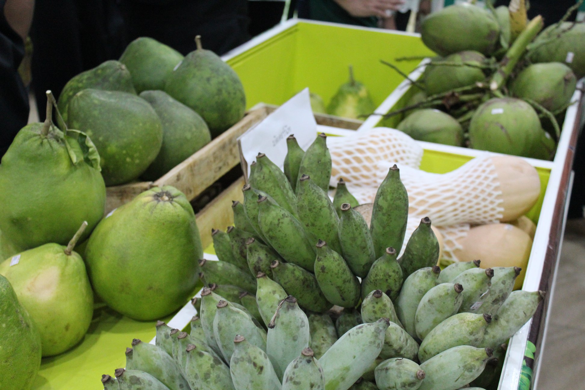 จังหวัดปัตตานี ร่วมกับพช.ปัตตานีและบ.ประชารัฐรักสามัคคีปัตตานี (วิสาหกิจเพื่อสังคม) จำกัด เปิดร้านฟาร์มเอาท์เลตอย่างเป็นทางการ