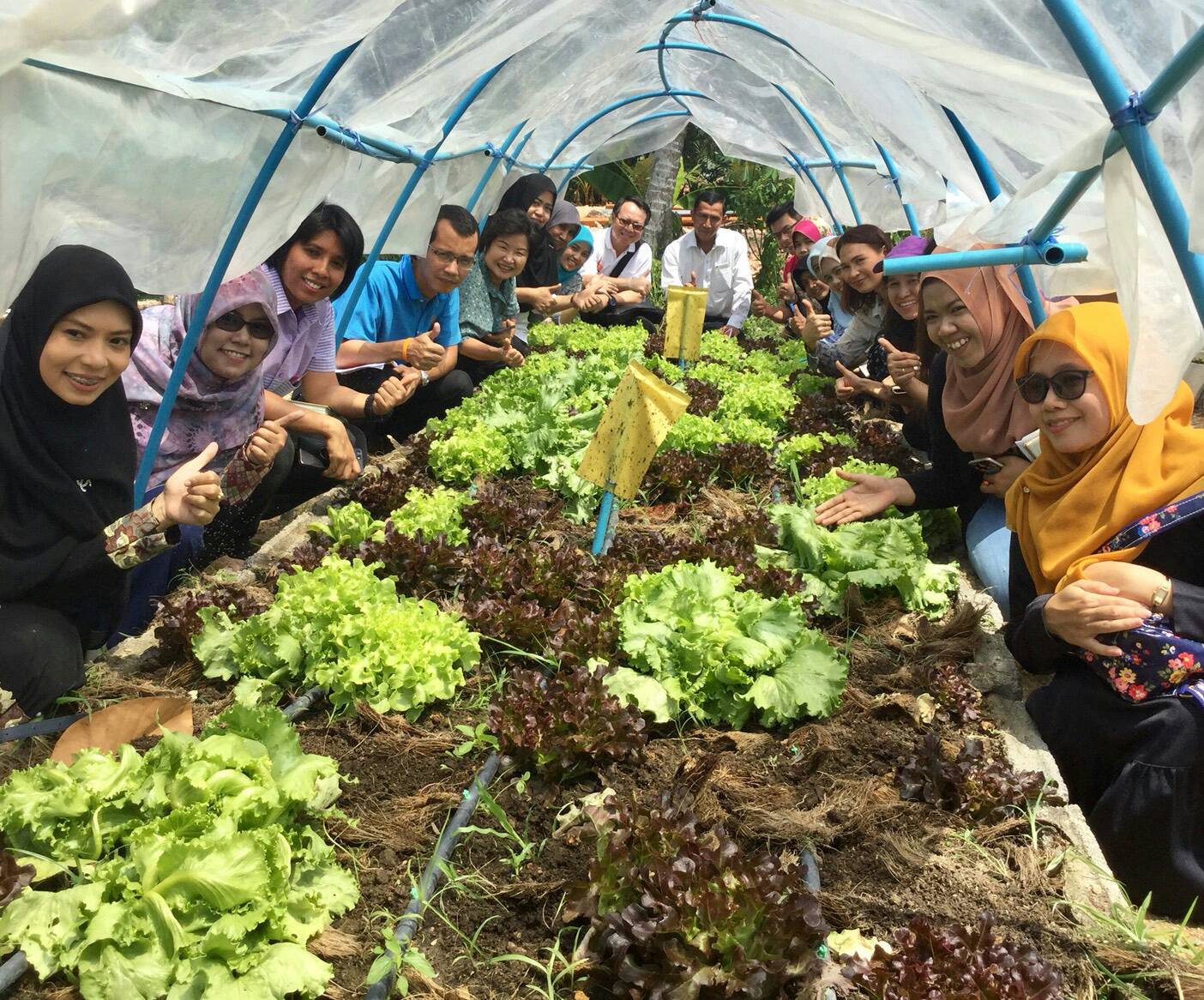 พช.ปัตตานี ร่วมกับ บริษัทประชารัฐรักสามัคคีปัตตานี (วิสาหกิจเพื่อสังคม) จำกัด  ลงพื้นที่ อ.ยะรัง และ อ.ทุ่งยางแดง