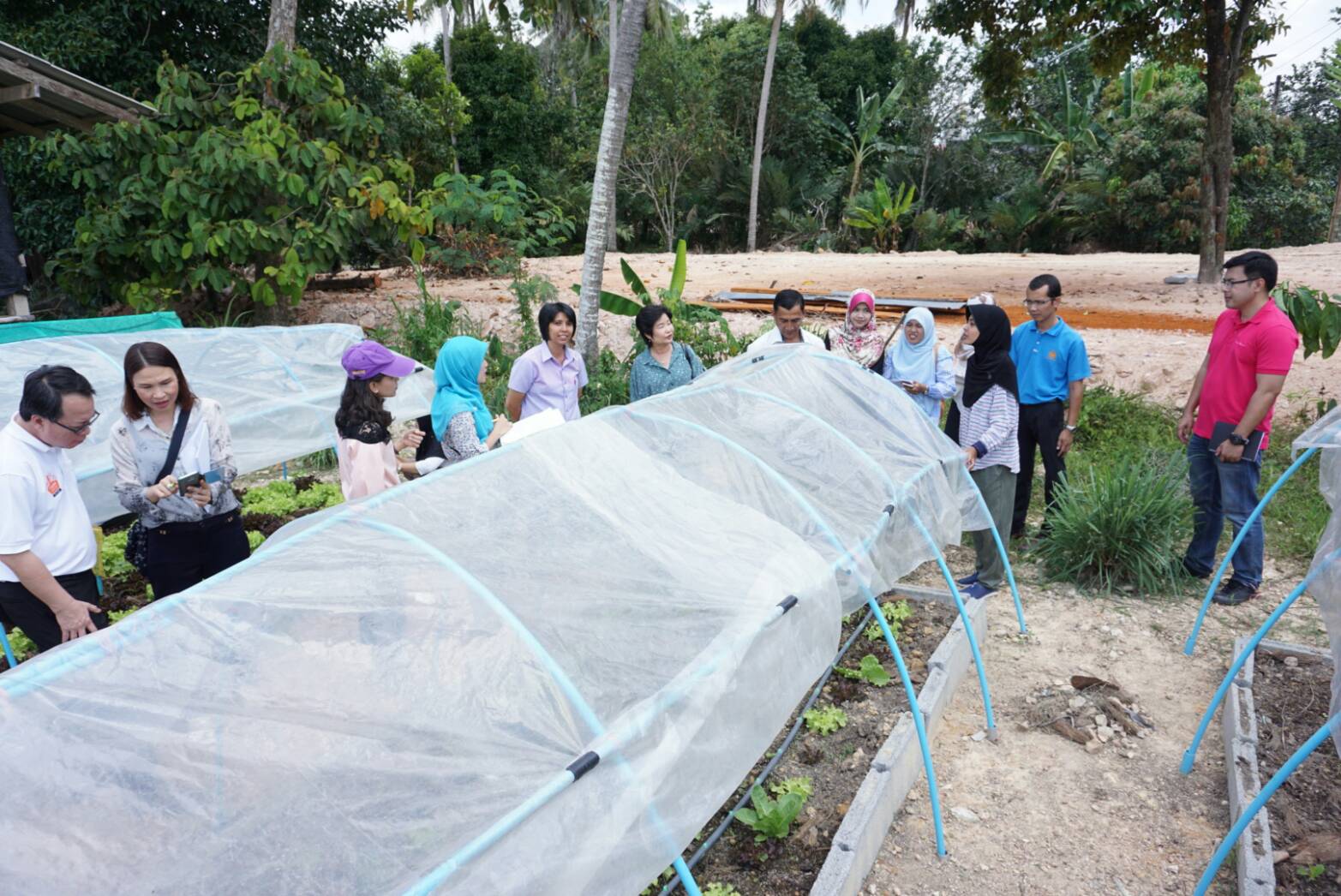 พช.ปัตตานี ร่วมกับ บริษัทประชารัฐรักสามัคคีปัตตานี (วิสาหกิจเพื่อสังคม) จำกัด  ลงพื้นที่ อ.ยะรัง และ อ.ทุ่งยางแดง