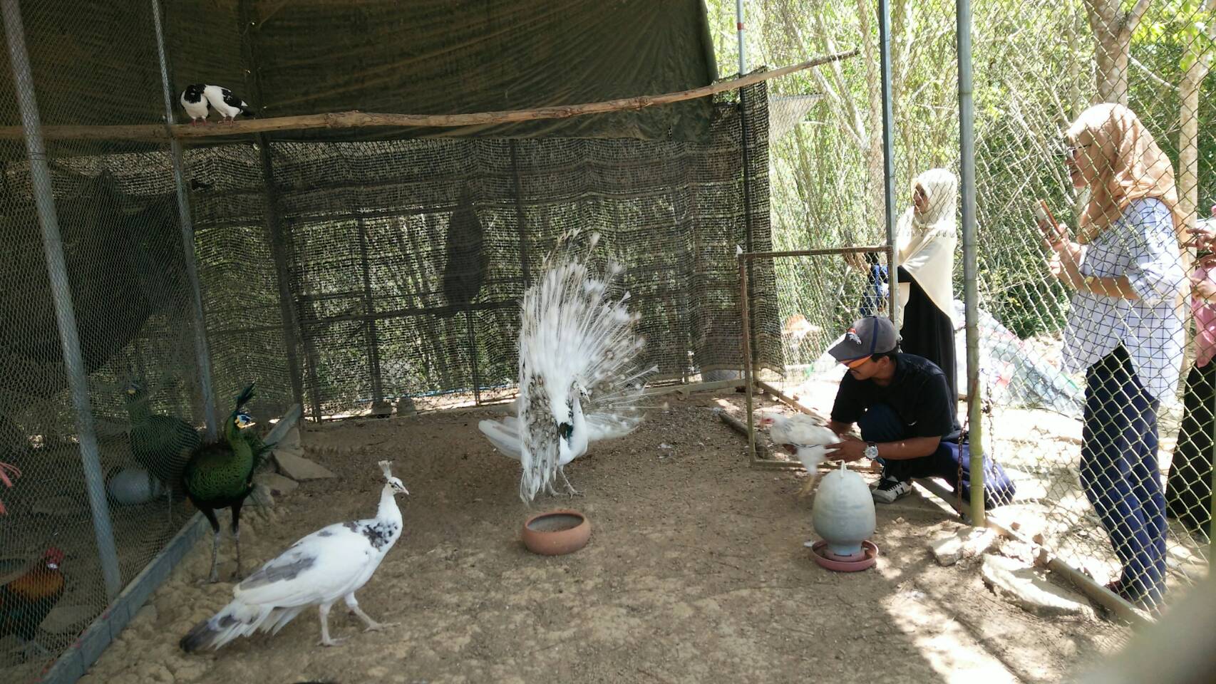 กิจกรรมพัฒนาศักยภาพแกนนำหมู่บ้านเรียนรู้ปรัชญาของเศรษฐกิจพอเพียง รุ่นที่ 1