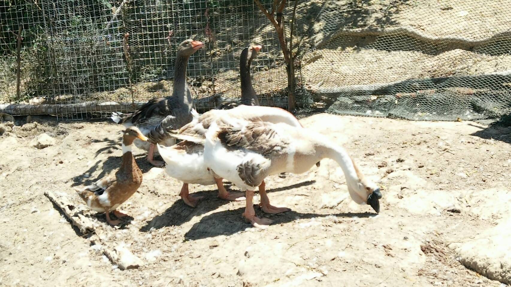 กิจกรรมพัฒนาศักยภาพแกนนำหมู่บ้านเรียนรู้ปรัชญาของเศรษฐกิจพอเพียง รุ่นที่ 1