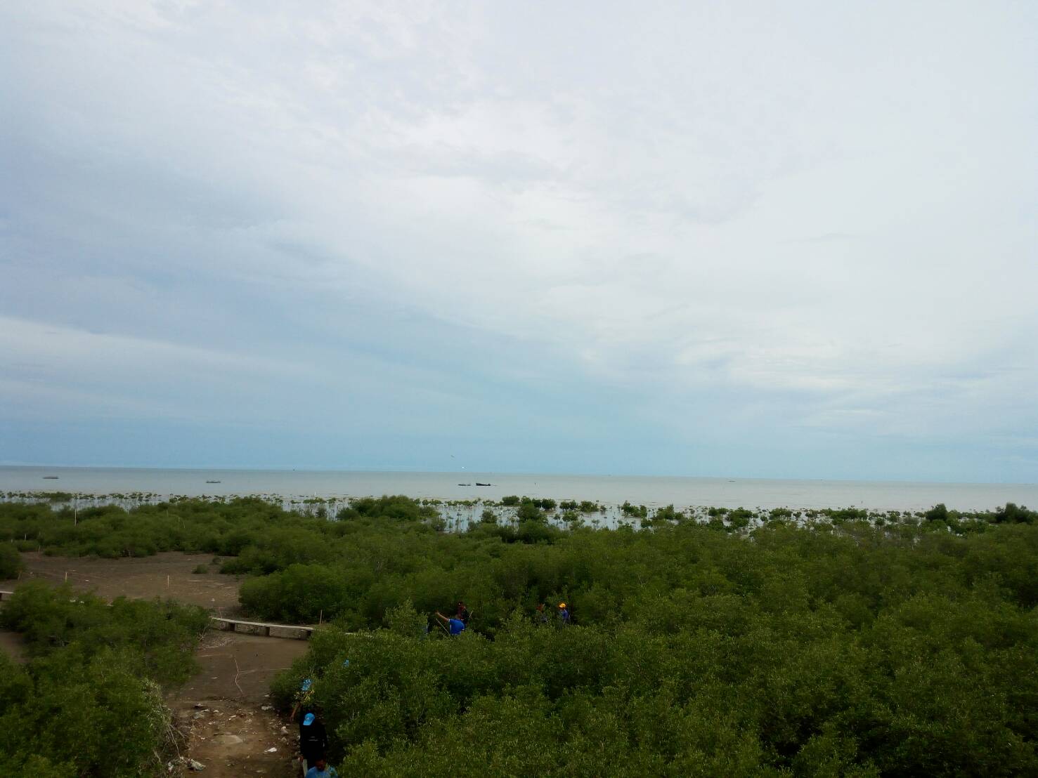 พช.ปัตตานี เข้าร่วมกิจกรรมโครงการประชารัฐร่วมใจปลูกต้นไม้ให้แผ่นดิน