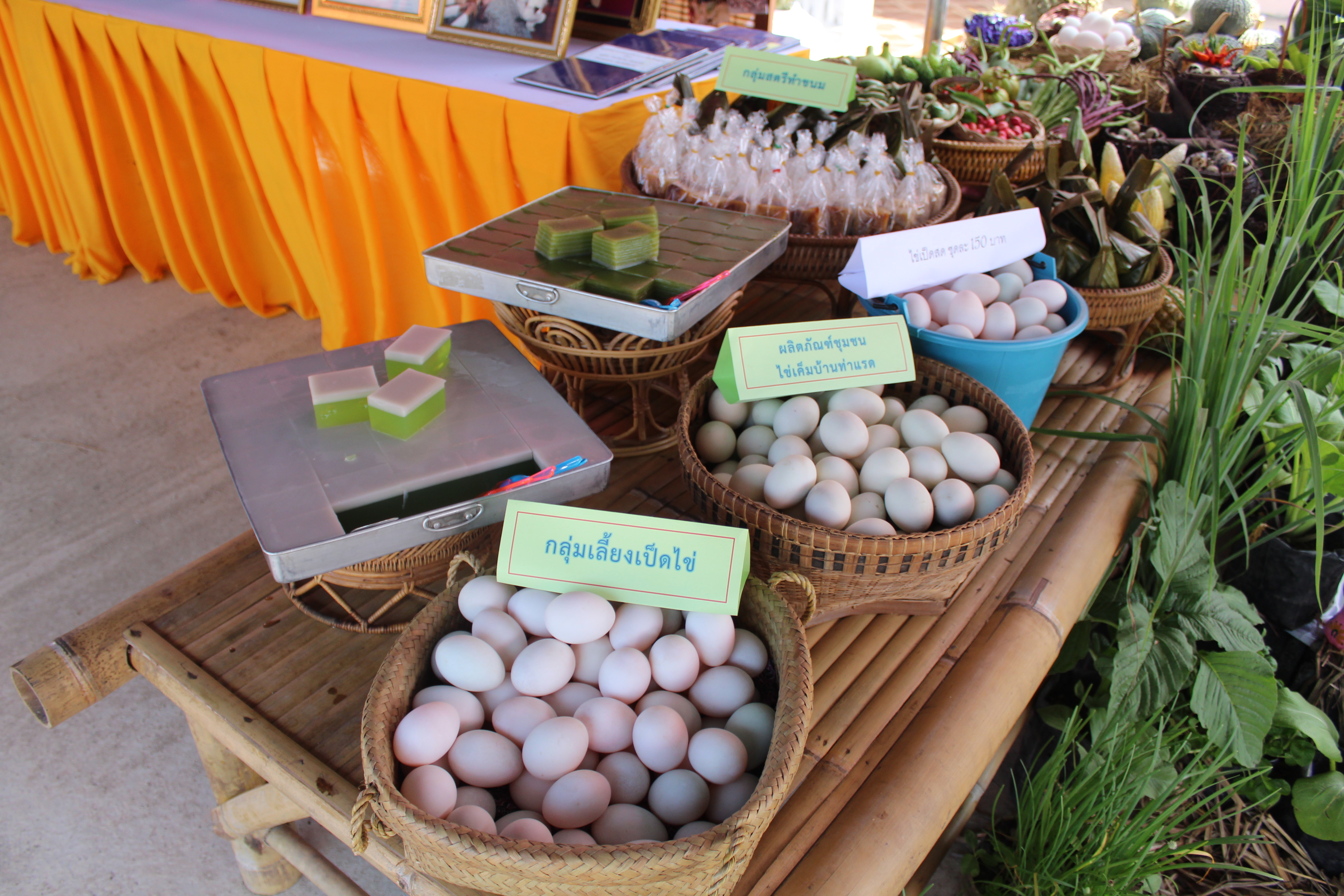 พช.ปัตตานี ลงพื้นที่ อ.แม่ลาน เพื่อตรวจเยี่ยมผลการดำเนินงานฯ และคัดสรรพื้นที่เป้าหมายฯ ดีเด่น ปี 2561