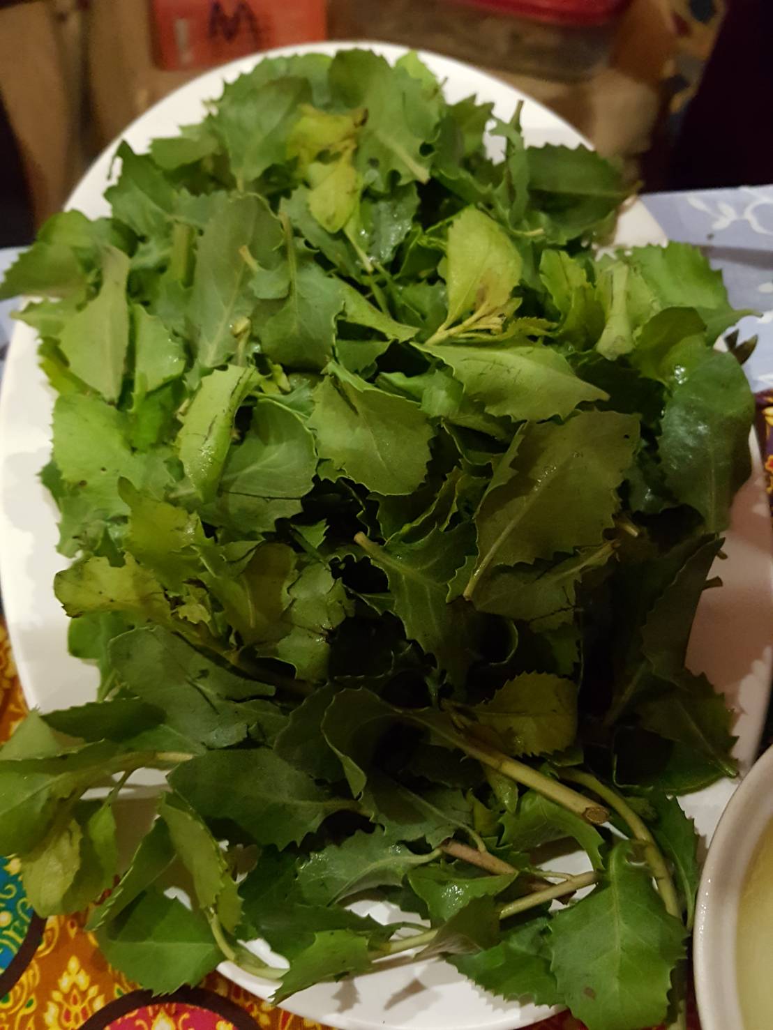 พช.ปัตตานี ร่วมเวทีสานพลังประชารัฐปัตตานีขับเคลื่อนเศรษฐกิจและสังคม (เวทีเสวนาสมุนไพรและแปรรูป)