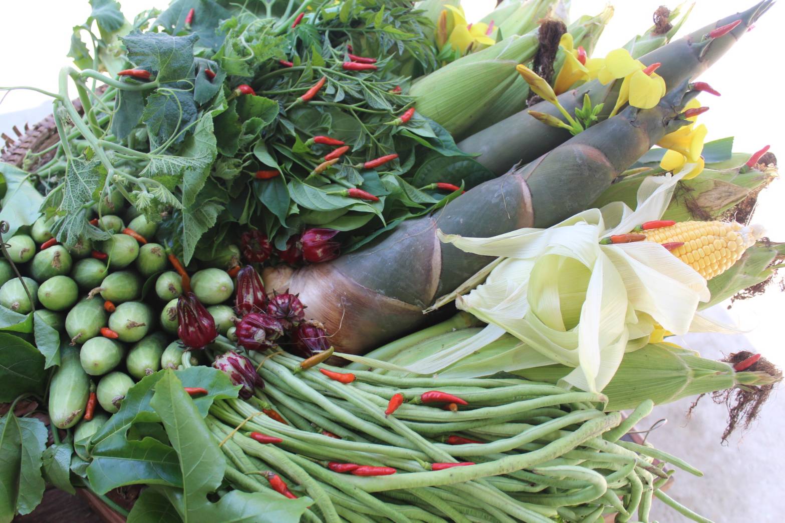 พช.ปัตตานี ลงพื้นที่ อ.กะพ้อ เพื่อตรวจเยี่ยมผลการดำเนินงานฯ และคัดสรรพื้นที่เป้าหมายฯ ดีเด่น ปี 2561