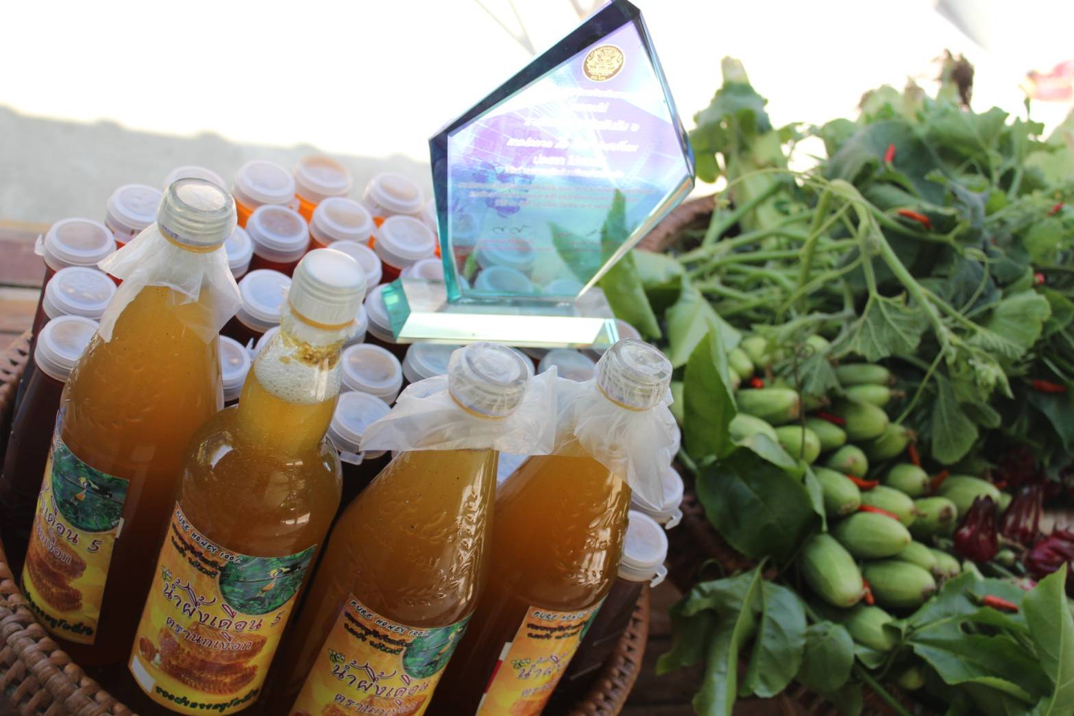 พช.ปัตตานี ลงพื้นที่ อ.กะพ้อ เพื่อตรวจเยี่ยมผลการดำเนินงานฯ และคัดสรรพื้นที่เป้าหมายฯ ดีเด่น ปี 2561