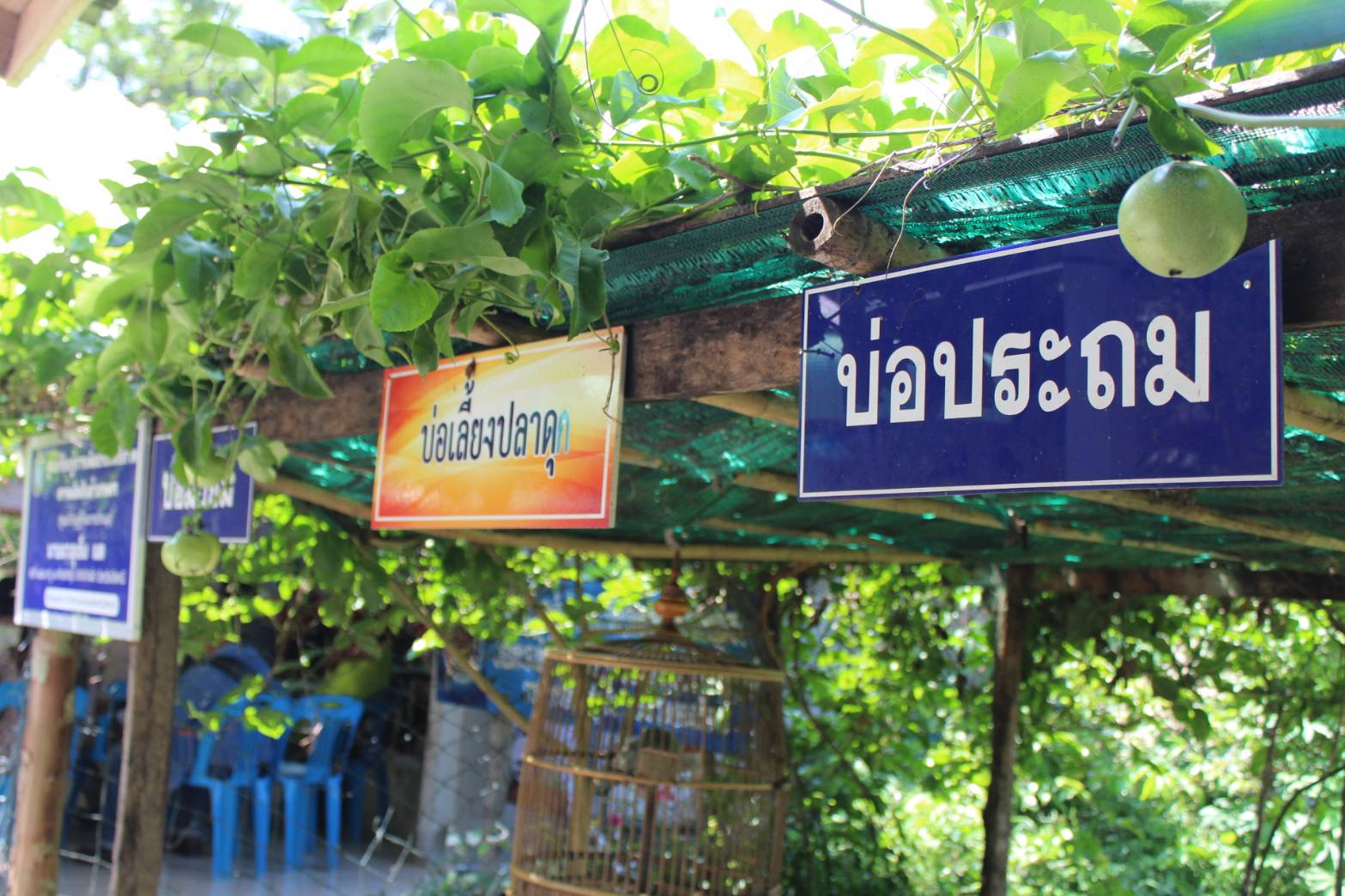 พช.ปัตตานี ลงพื้นที่ อ.กะพ้อ เพื่อตรวจเยี่ยมผลการดำเนินงานฯ และคัดสรรพื้นที่เป้าหมายฯ ดีเด่น ปี 2561