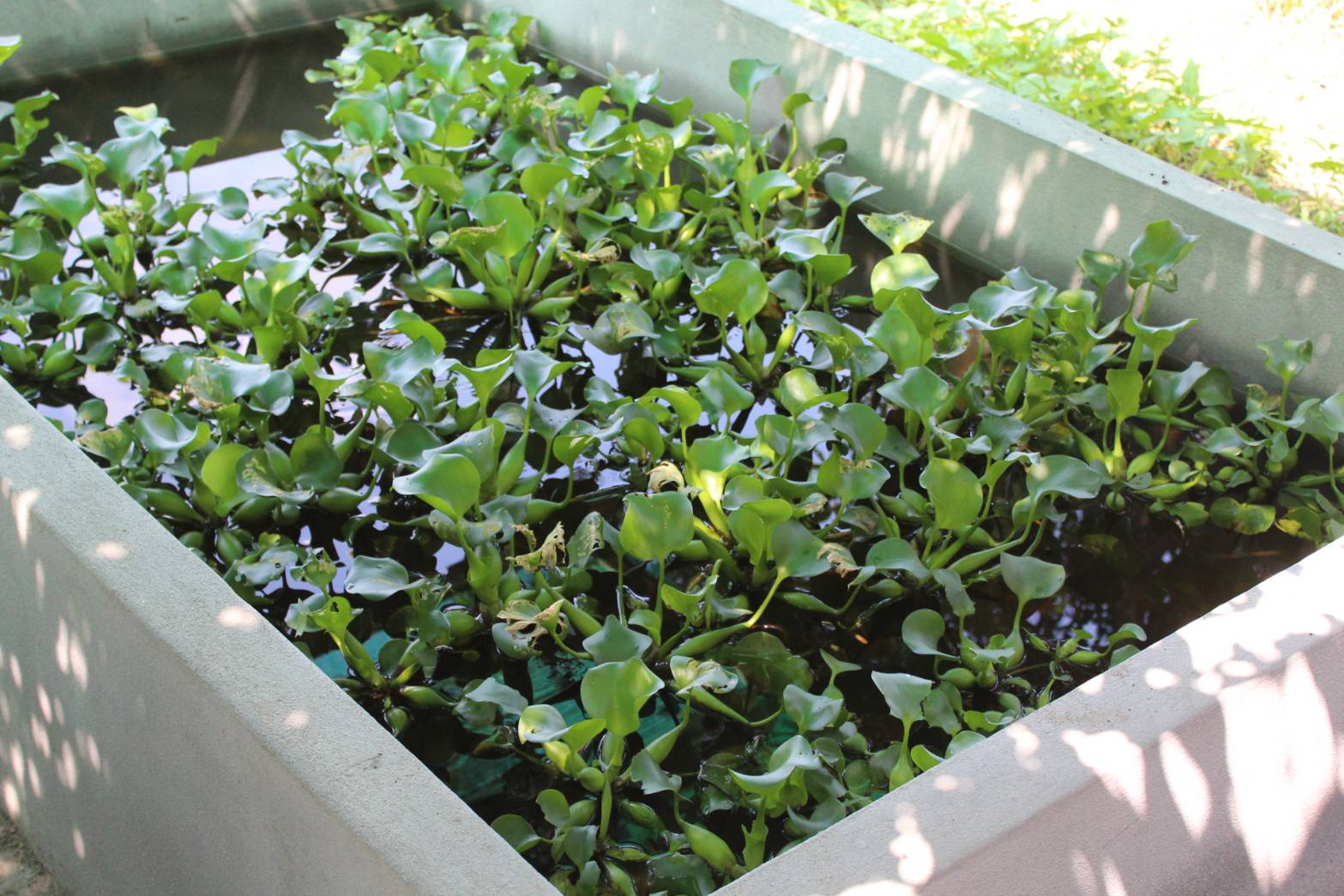 พช.ปัตตานี ลงพื้นที่ อ.กะพ้อ เพื่อตรวจเยี่ยมผลการดำเนินงานฯ และคัดสรรพื้นที่เป้าหมายฯ ดีเด่น ปี 2561