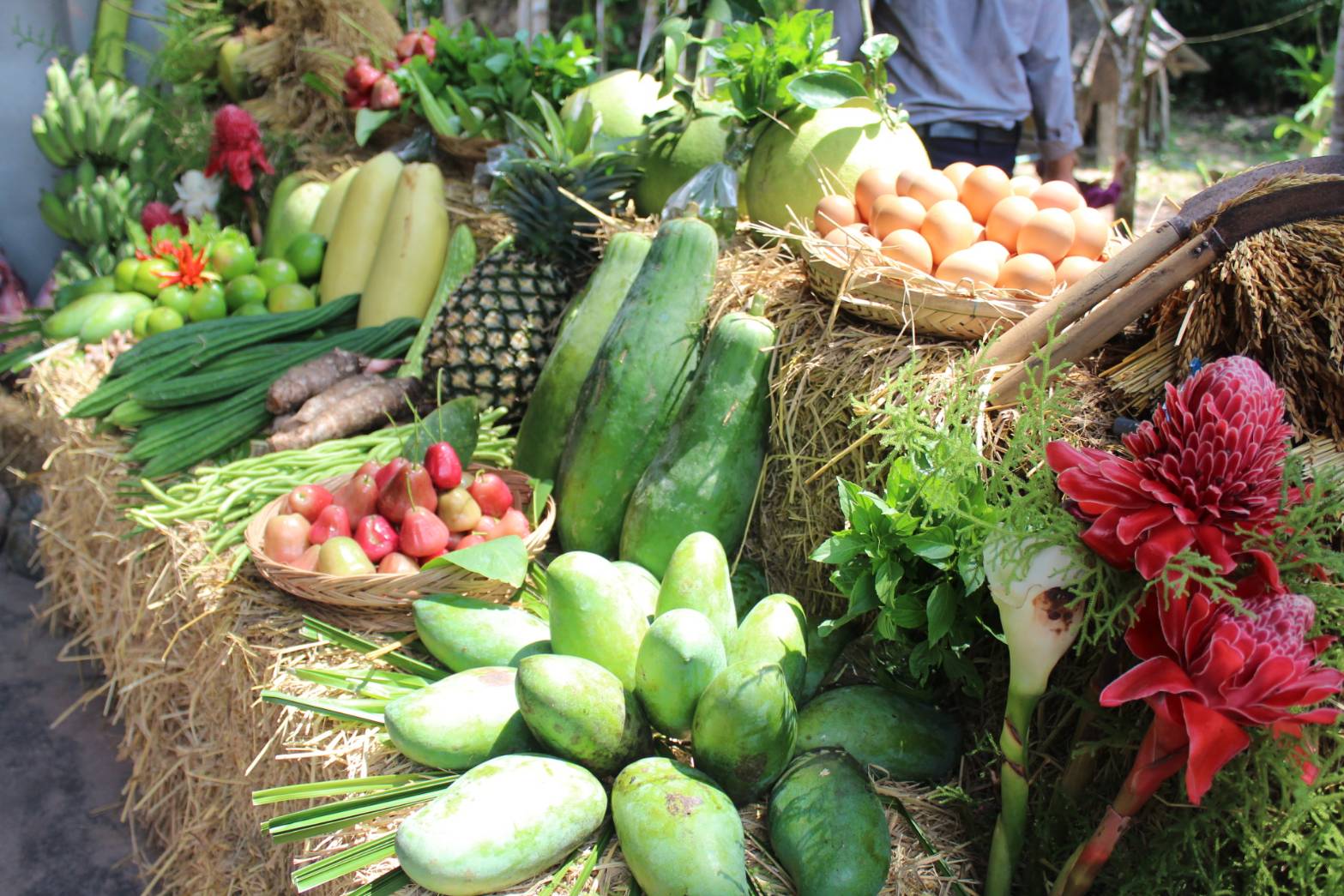 พช.ปัตตานี ลงพื้นที่ อ.มายอ เพื่อตรวจเยี่ยมผลการดำเนินงานฯ และคัดสรรพื้นที่เป้าหมายฯ ดีเด่น ปี 2561