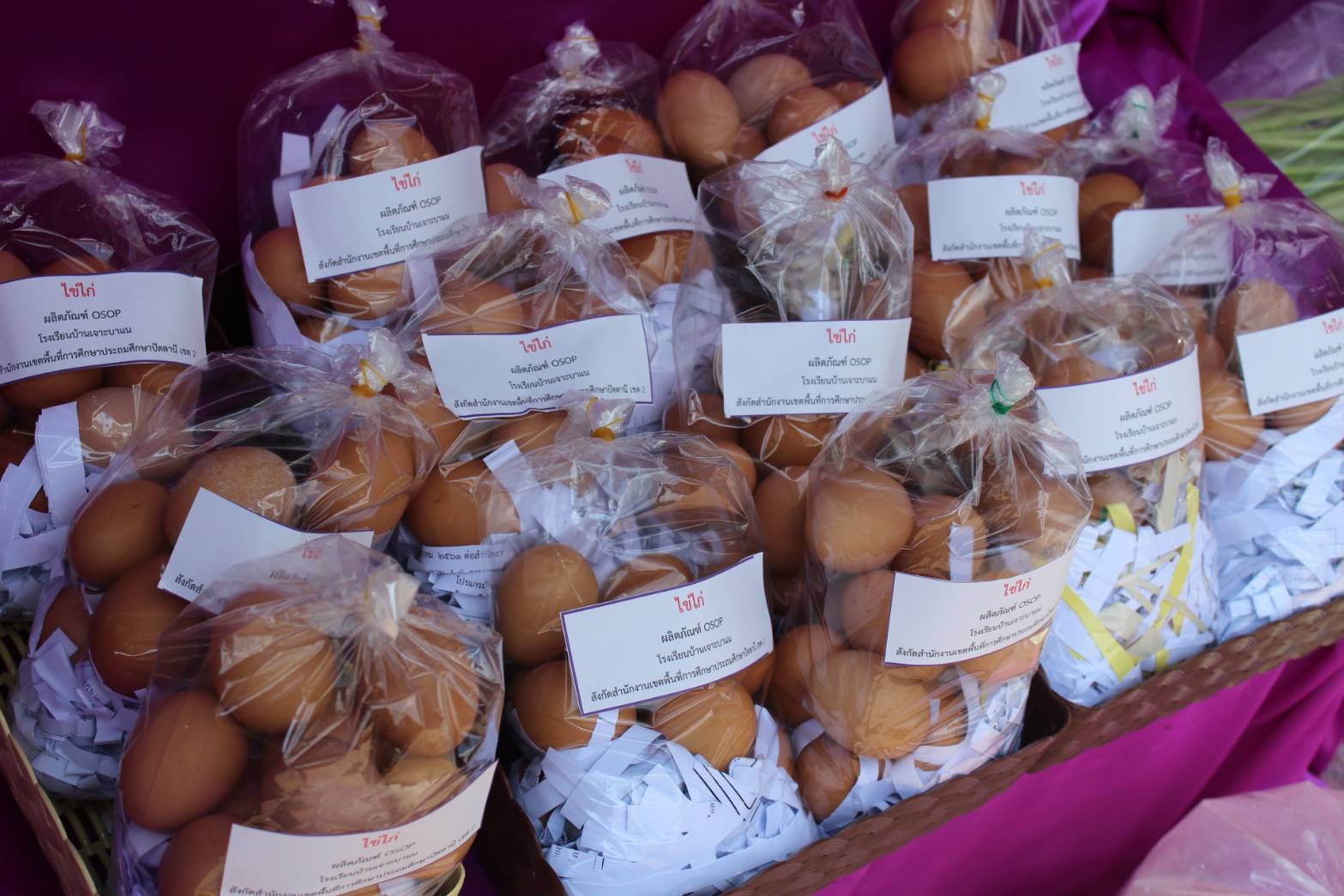 พช.ปัตตานี ลงพื้นที่ อ.มายอ เพื่อตรวจเยี่ยมผลการดำเนินงานฯ และคัดสรรพื้นที่เป้าหมายฯ ดีเด่น ปี 2561