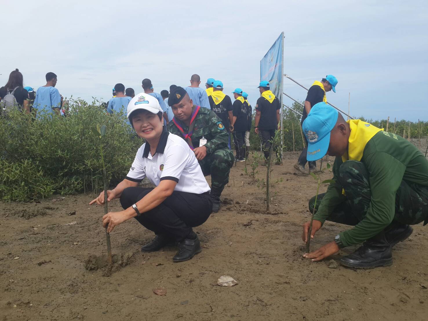 พช.ปัตตานี เข้าร่วมกิจกรรมโครงการประชารัฐร่วมใจปลูกต้นไม้ให้แผ่นดิน