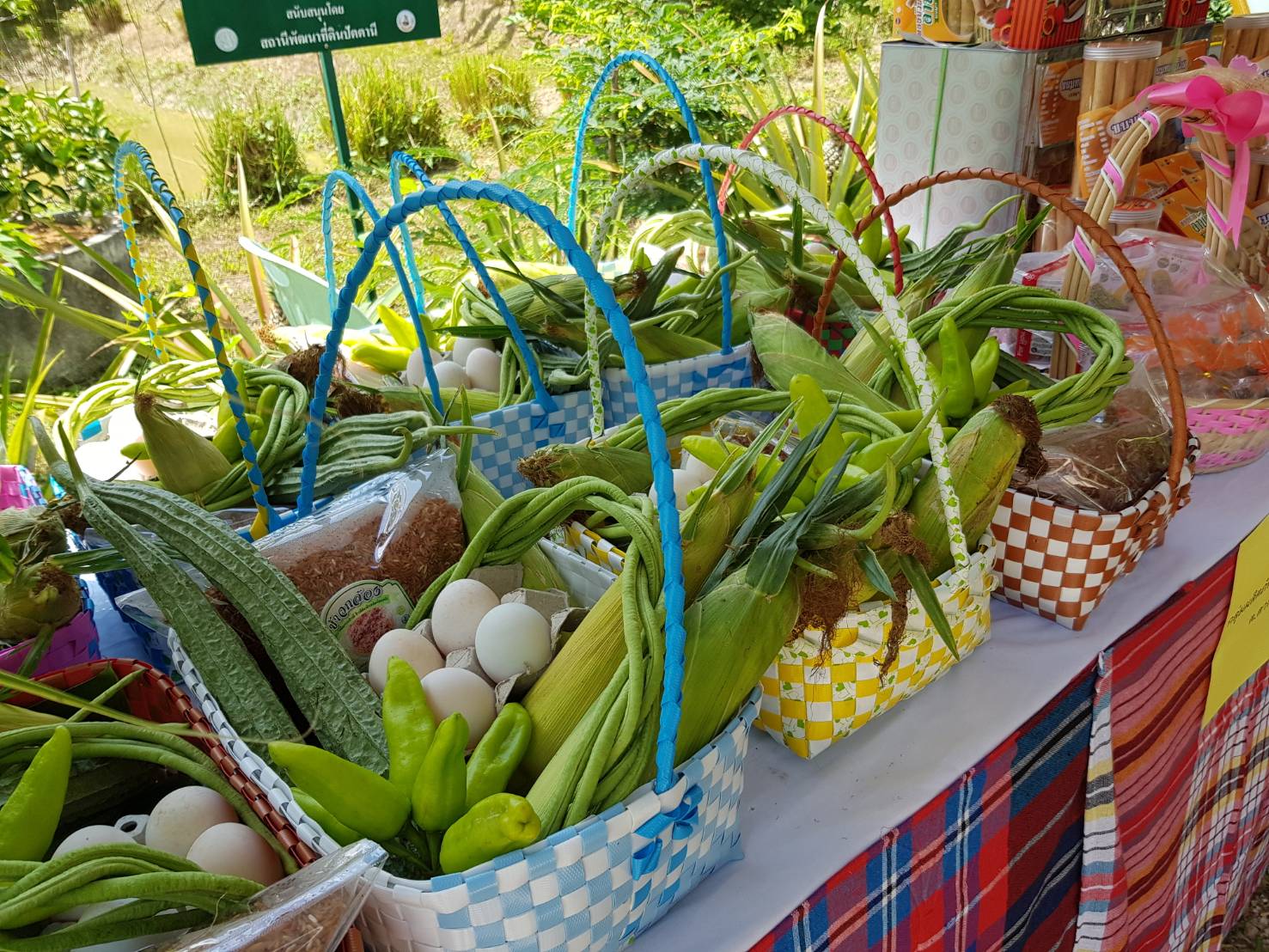 พช.ปัตตานี ลงพื้นที่ อ.หนองจิก เพื่อตรวจเยี่ยมผลการดำเนินงานฯ และคัดสรรพื้นที่เป้าหมายฯ ดีเด่น ปี 2561