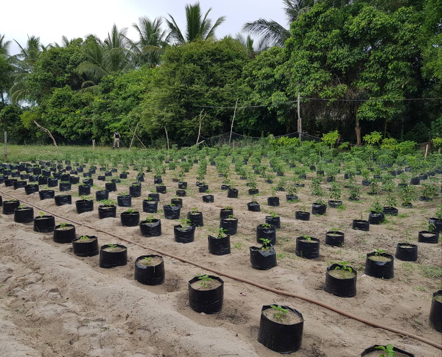 พช.ปัตตานี ลงพื้นที่ อ.เมือง เพื่อตรวจเยี่ยมผลการดำเนินงานฯ และคัดสรรพื้นที่เป้าหมายฯ ดีเด่น ปี 2561