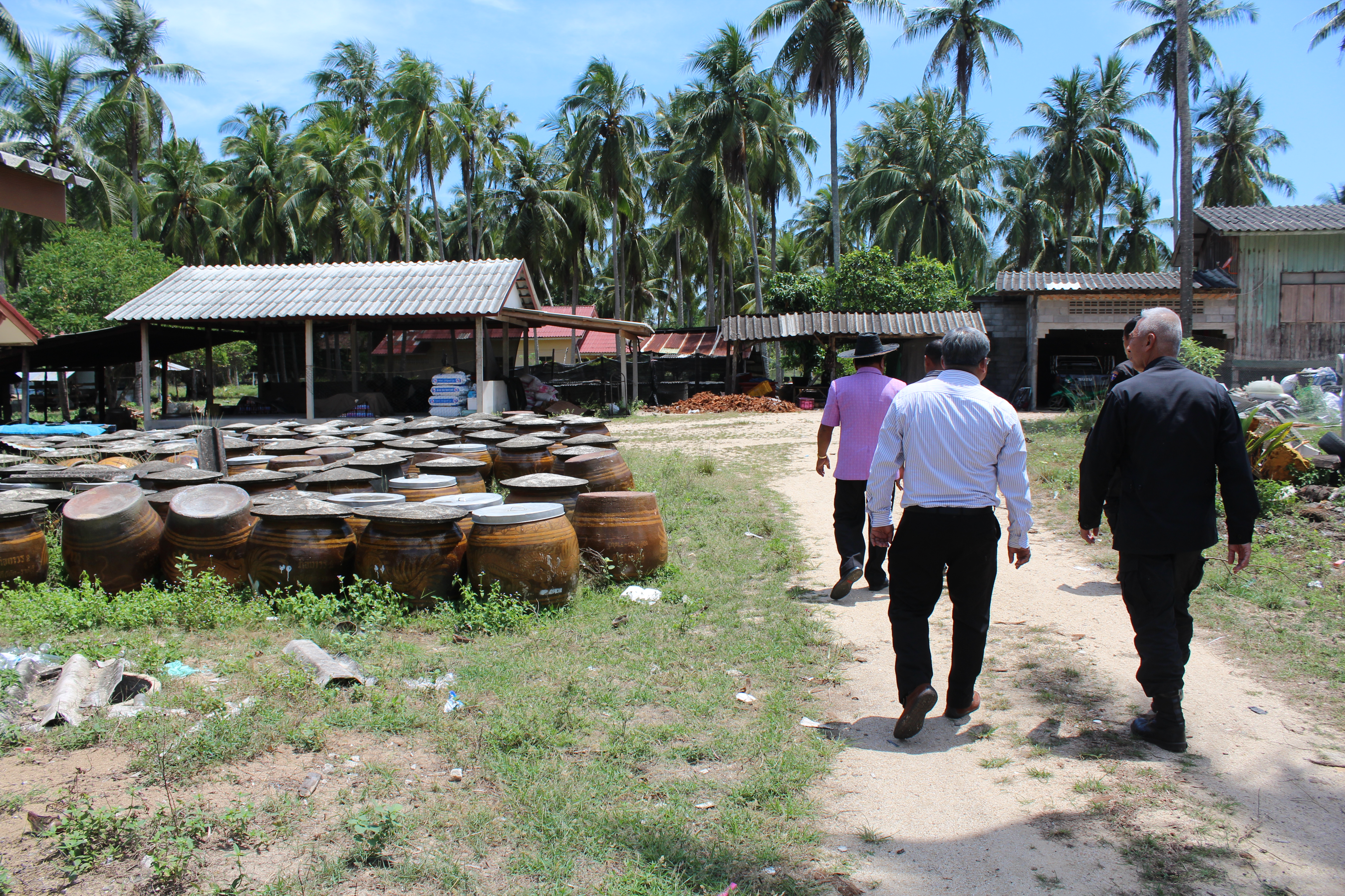 พช.ปัตตานี ลงพื้นที่ อ.ไม้แก่น เพื่อตรวจเยี่ยมผลการดำเนินงานฯ และคัดสรรพื้นที่เป้าหมายฯ ดีเด่น ปี 2561
