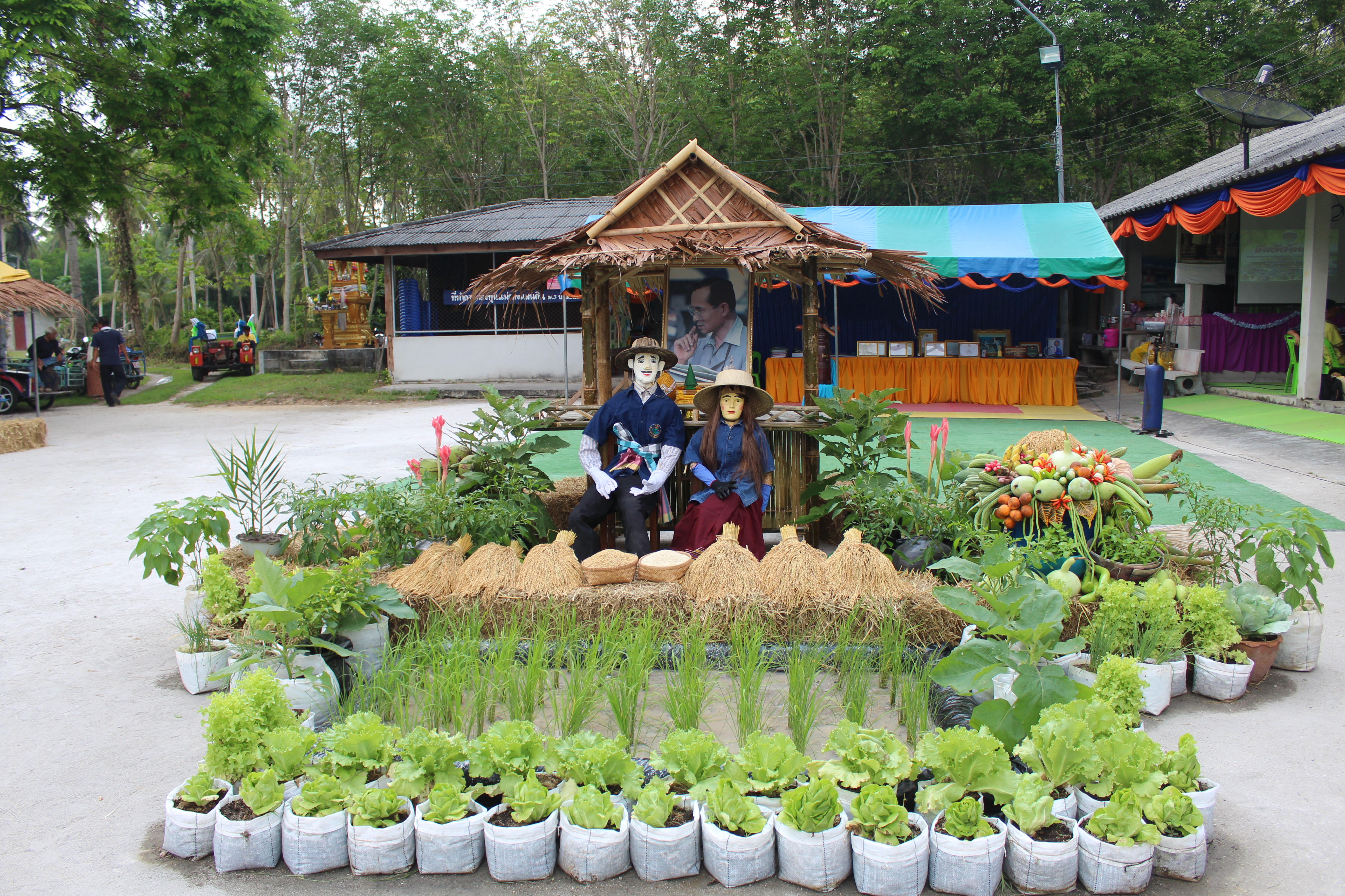 พช.ปัตตานี ลงพื้นที่ อ.ปะนาเระ เพื่อตรวจเยี่ยมผลการดำเนินงานฯ และคัดสรรพื้นที่เป้าหมายฯ ดีเด่น ปี 2561