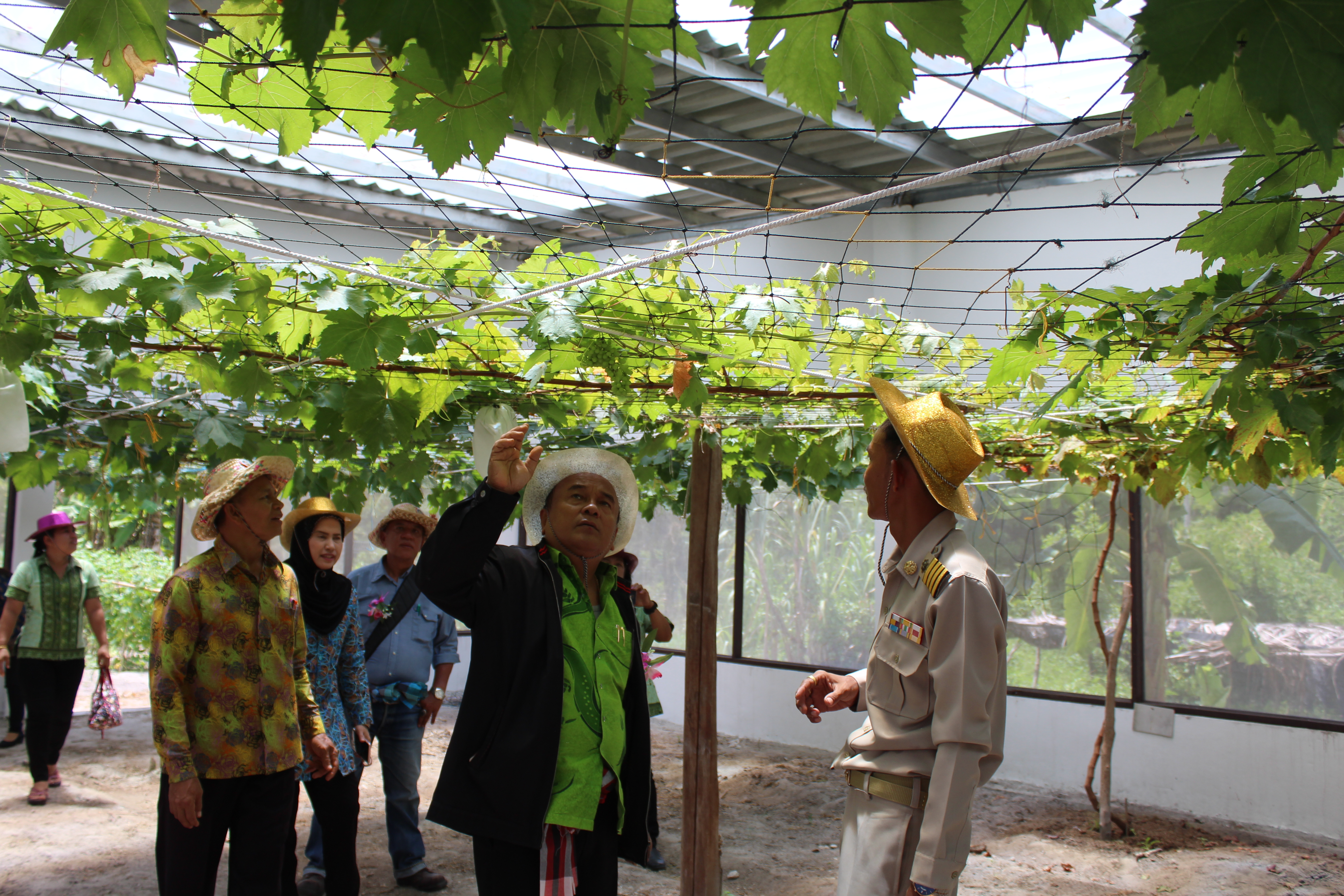 พช.ปัตตานี ลงพื้นที่ อ.ปะนาเระ เพื่อตรวจเยี่ยมผลการดำเนินงานฯ และคัดสรรพื้นที่เป้าหมายฯ ดีเด่น ปี 2561