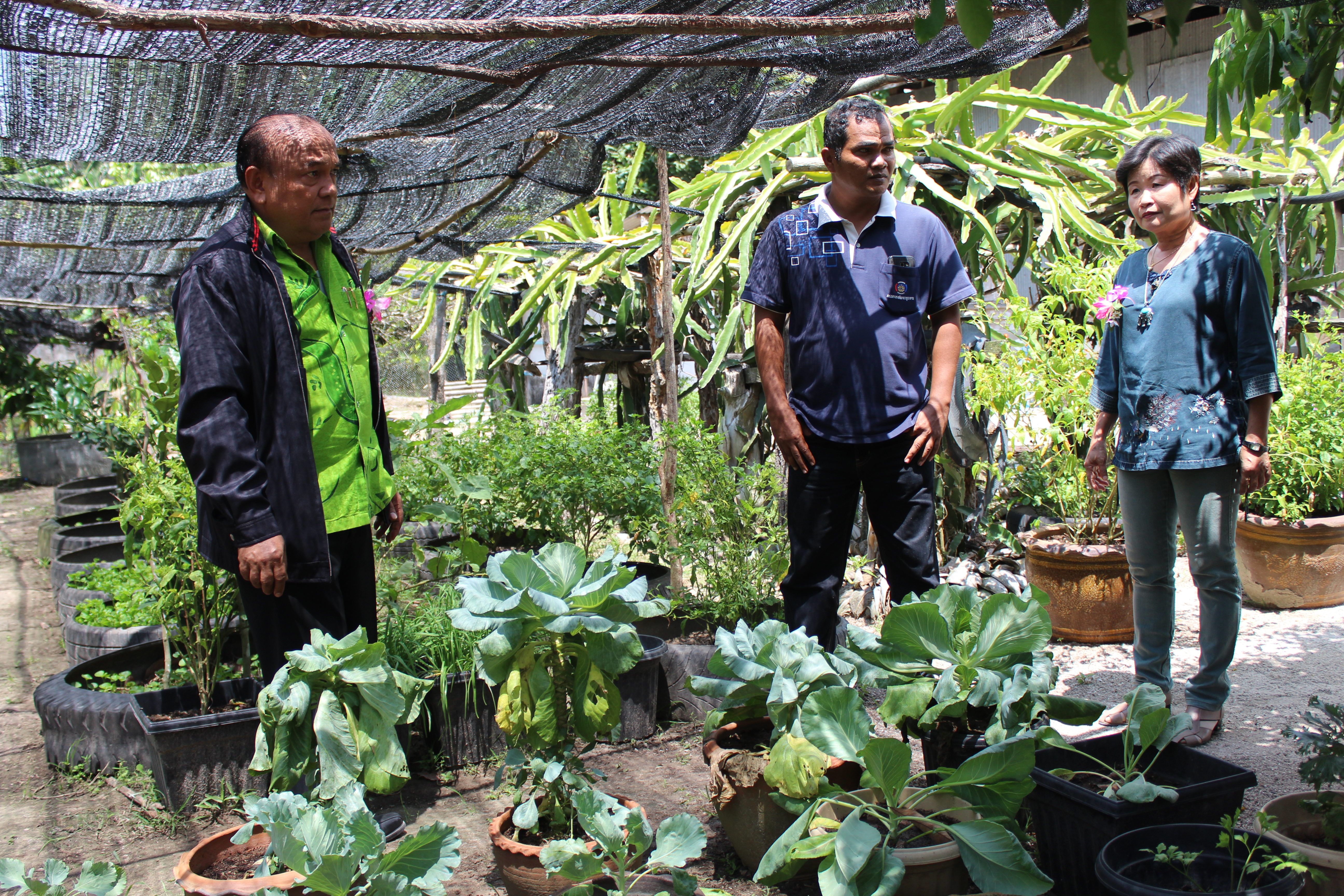 พช.ปัตตานี ลงพื้นที่ อ.ปะนาเระ เพื่อตรวจเยี่ยมผลการดำเนินงานฯ และคัดสรรพื้นที่เป้าหมายฯ ดีเด่น ปี 2561