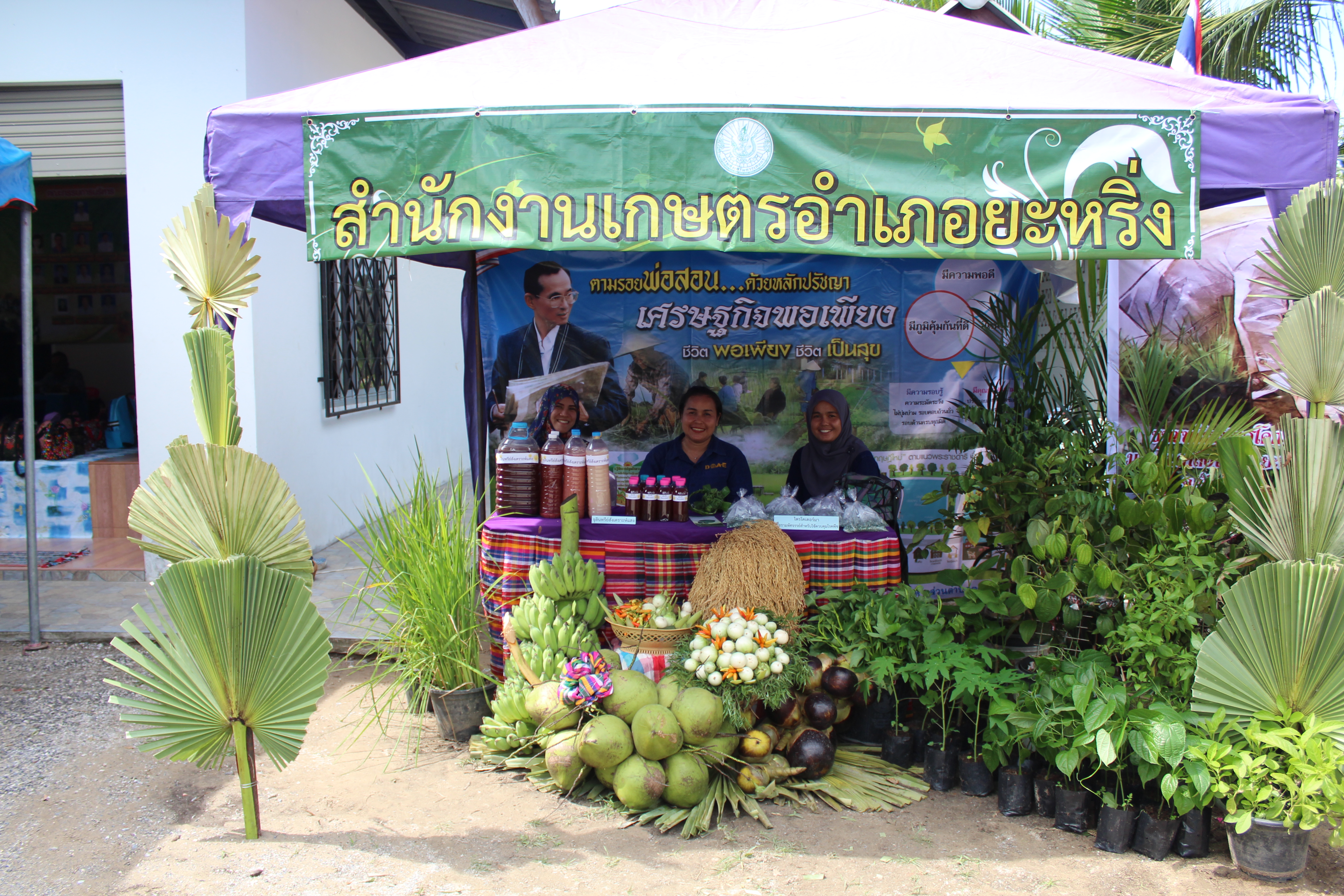 พช.ปัตตานี ลงพื้นที่ อ.ยะหริ่ง เพื่อตรวจเยี่ยมผลการดำเนินงานฯ และคัดสรรพื้นที่เป้าหมายฯ ดีเด่น ปี 2561