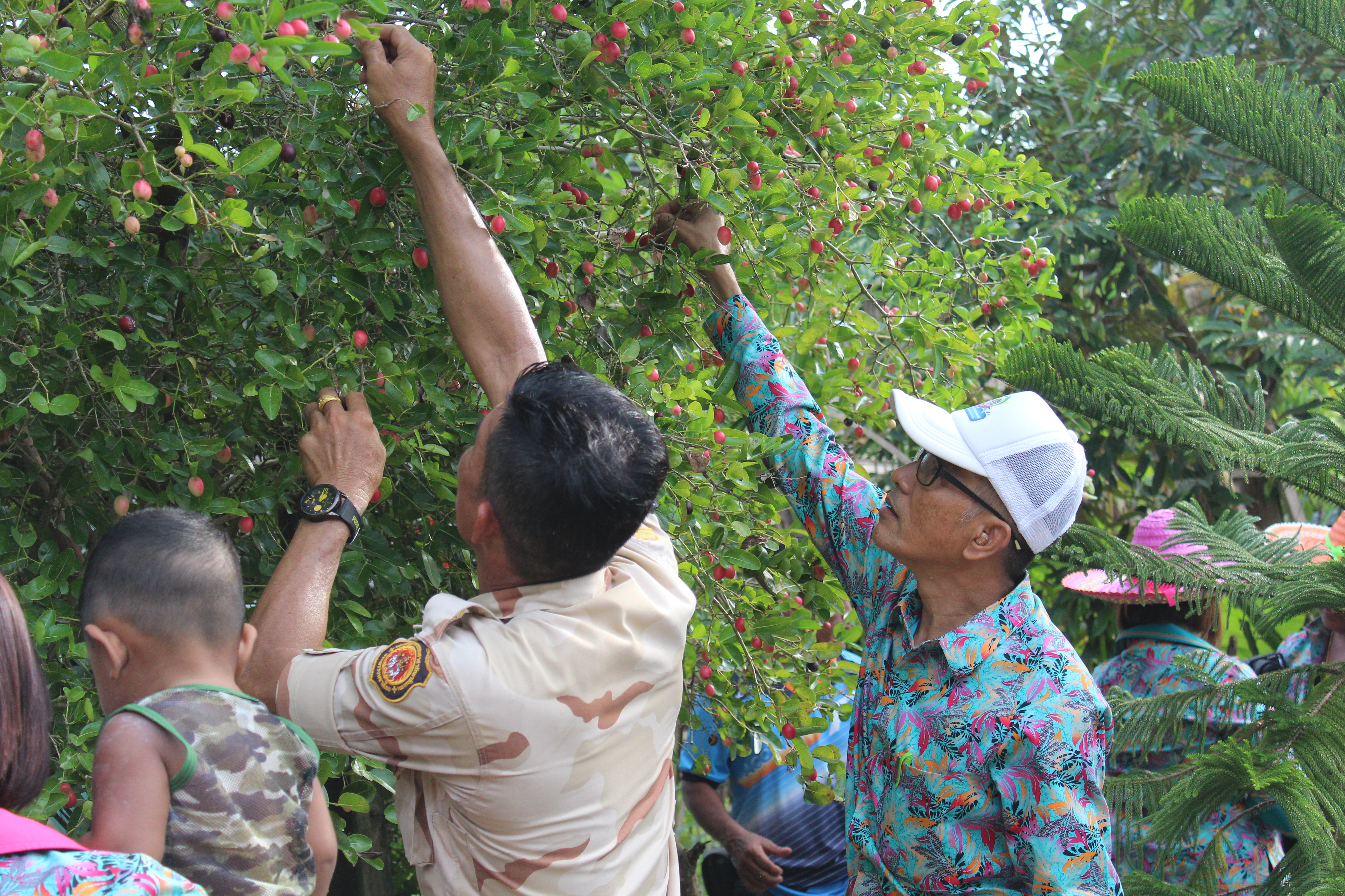 พช.ปัตตานี ลงพื้นที่ อ.โคกโพธิ์ เพื่อตรวจเยี่ยมผลการดำเนินงานฯ และคัดสรรพื้นที่เป้าหมายฯ ดีเด่น ปี 2561