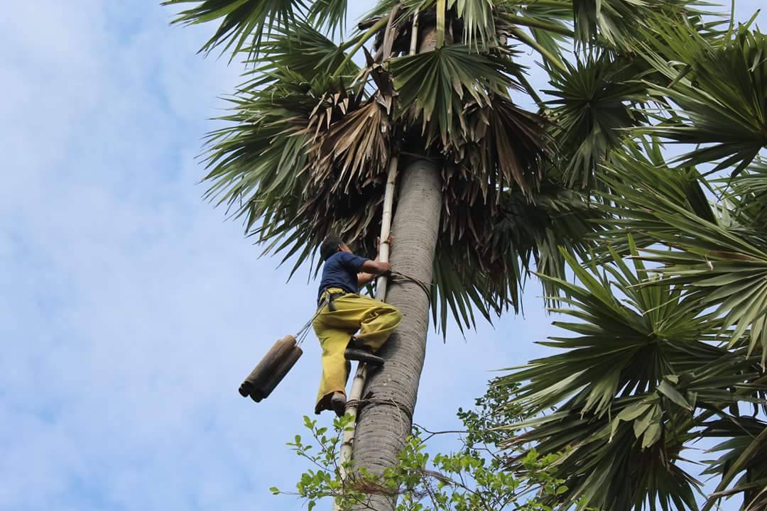 พช.ปัตตานี ลงพื้นที่กลุ่มตาลตโหนดต.จะรัง และกลุ่มไผ่ยิ้มต.ปิยามุมัง เพื่อพัฒนาผลิตภัณฑ์และเพิ่มช่องทางการจำหน่ายแก่ผู้ผลิต