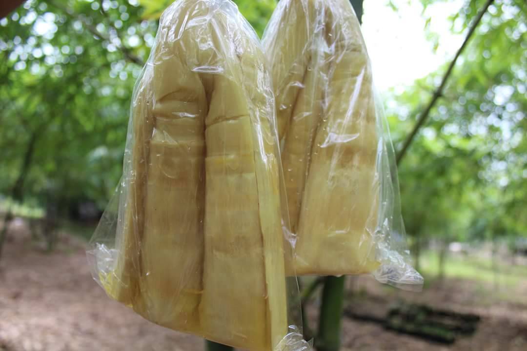 พช.ปัตตานี ลงพื้นที่กลุ่มตาลตโหนดต.จะรัง และกลุ่มไผ่ยิ้มต.ปิยามุมัง เพื่อพัฒนาผลิตภัณฑ์และเพิ่มช่องทางการจำหน่ายแก่ผู้ผลิต