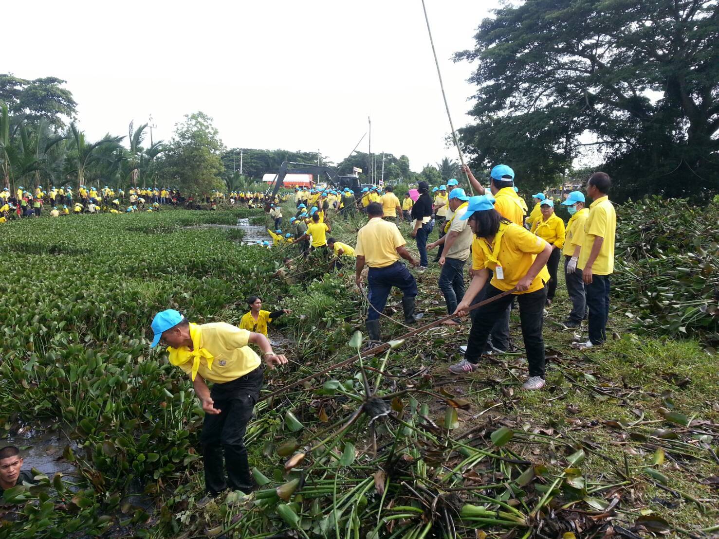 พช.ปัตตานี ร่วมกิจกรรมจิตอาสา “เราทำความ ดี ด้วยหัวใจ” กิจกรรมขุดลอกกำจัดวัชพืชผักตบชวา (คลองโลกาเยาะ)