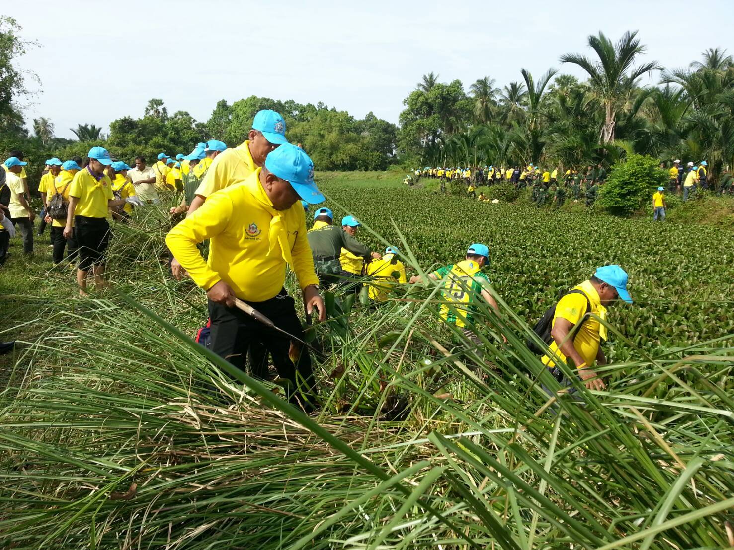 พช.ปัตตานี ร่วมกิจกรรมจิตอาสา “เราทำความ ดี ด้วยหัวใจ” กิจกรรมขุดลอกกำจัดวัชพืชผักตบชวา (คลองโลกาเยาะ)