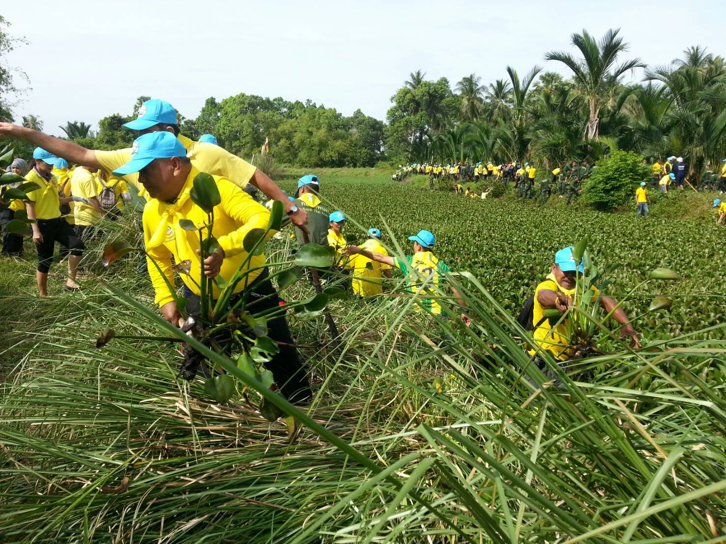 พช.ปัตตานี ร่วมกิจกรรมจิตอาสา “เราทำความ ดี ด้วยหัวใจ” กิจกรรมขุดลอกกำจัดวัชพืชผักตบชวา (คลองโลกาเยาะ)