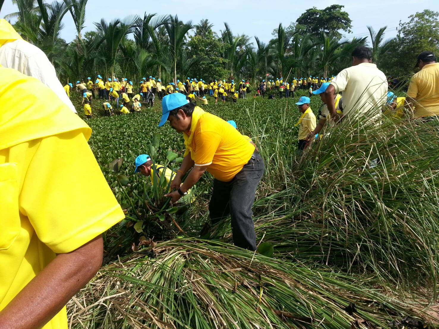 พช.ปัตตานี ร่วมกิจกรรมจิตอาสา “เราทำความ ดี ด้วยหัวใจ” กิจกรรมขุดลอกกำจัดวัชพืชผักตบชวา (คลองโลกาเยาะ)