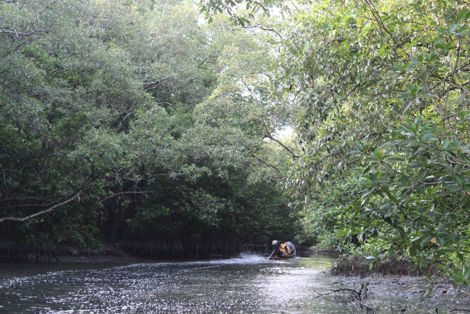 ผู้ตรวจราชการกรมการพัฒนาชุมชน ลงพื้นที่อำเภอยะหริ่ง จังหวัดปัตตานี เพื่อติดตามผลการขับเคลื่อนโครงการชุมชนท่องเที่ยว OTOP นวัตวิถี