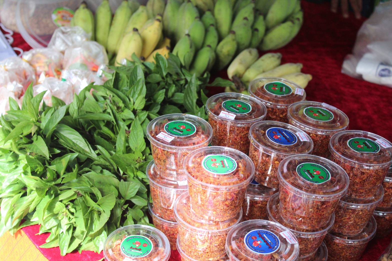 พช.ปัตตานี ร่วมกิจกรรมโครงการจังหวัดเคลื่อนที่อำเภอโคกโพธิ์ จังหวัดปัตตานี