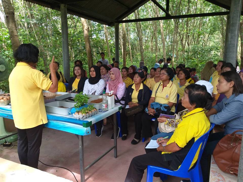 กิจกรรมพัฒนาบุคลากรด้านการท่องเที่ยวชุมชน (สร้างมัคคุเทศก์ชุมชน) รุ่นที่ 5 – 8