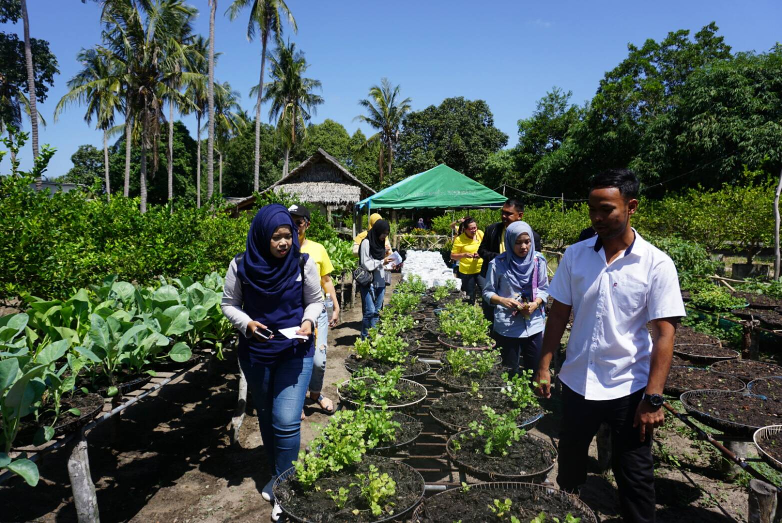 พช.ปัตตานี ร่วมกับบริษัทประชารัฐรักสามัคคีฯ ลงพื้นที่ติดตามกลุ่มฯ อำเภอไม้แก่นและอำเภอสายบุรี จังหวัดปัตตานี