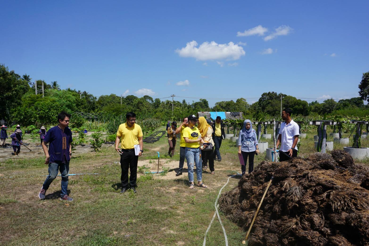 พช.ปัตตานี ร่วมกับบริษัทประชารัฐรักสามัคคีฯ ลงพื้นที่ติดตามกลุ่มฯ อำเภอไม้แก่นและอำเภอสายบุรี จังหวัดปัตตานี