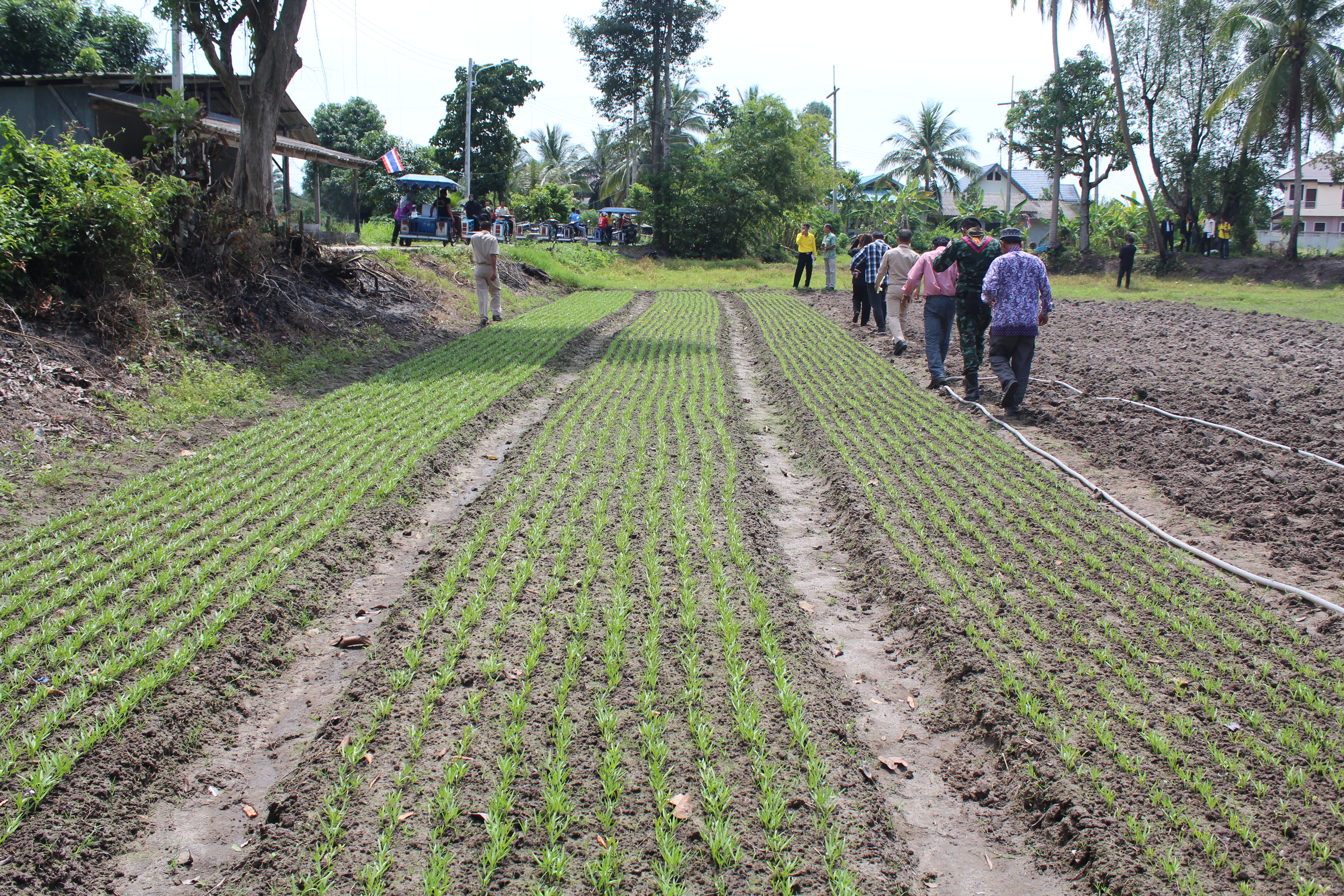 พช.ปัตตานี ลงพื้นที่อำเภอเมืองปัตตานี คัดสรรหมู่บ้านเศรษฐกิจพอเพียง “อยู่เย็น เป็นสุข” ดีเด่นระดับจังหวัด (รอบพิจารณาตัดสิน)