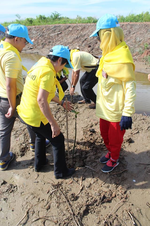 โครงการจิตอาสา “เราทำความ ดี ด้วยหัวใจ” เนื่องในวันคล้ายวันพระราชสมภพของสมเด็จพระศรีนครินทราบรมราชชนนี