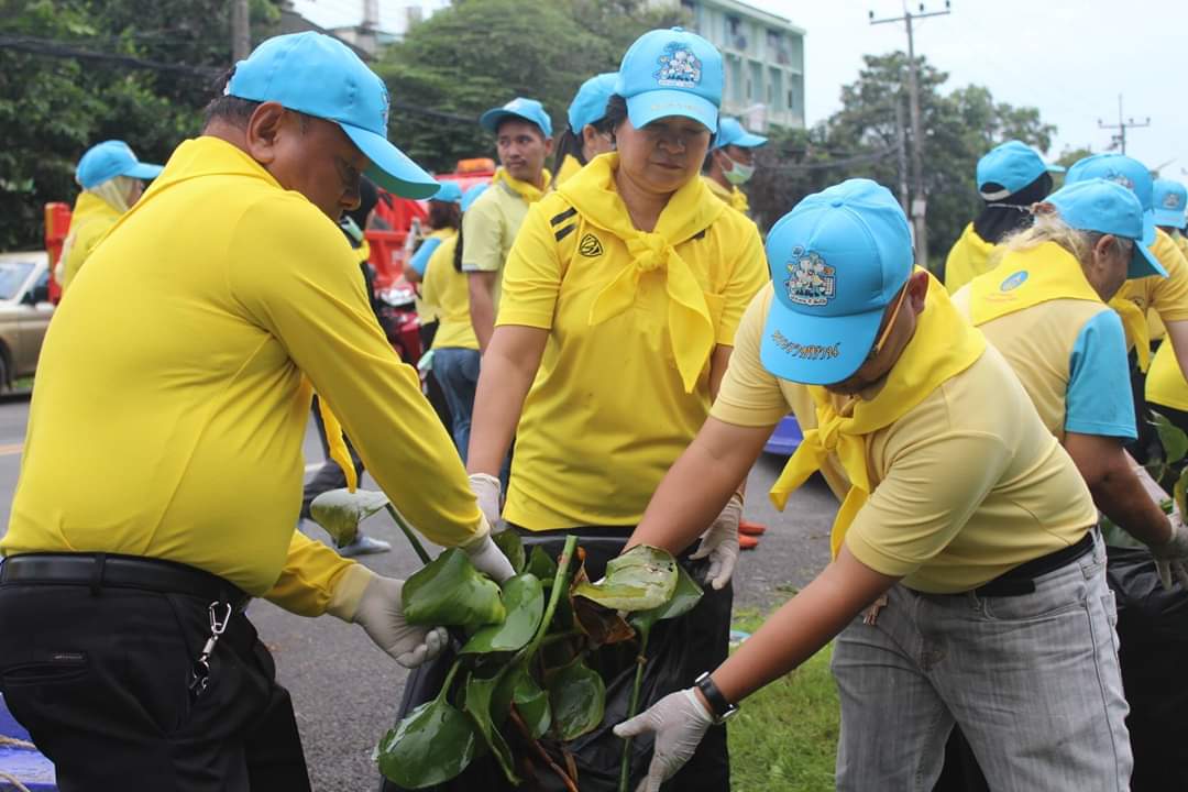 พช.ปัตตานี ร่วมโครงการจิตอาสา หน่วยพระราชทานและประชาชนจิตอาสา “เราทำความ ดี ด้วยหัวใจ” ร่วมกันทำกิจกรรมบำเพ็ญประโยชน์กำจัดวัชพืช