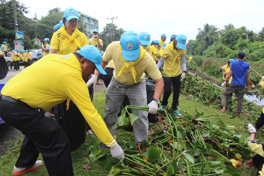 พช.ปัตตานี ร่วมโครงการจิตอาสา หน่วยพระราชทานและประชาชนจิตอาสา “เราทำความ ดี ด้วยหัวใจ” ร่วมกันทำกิจกรรมบำเพ็ญประโยชน์กำจัดวัชพืช