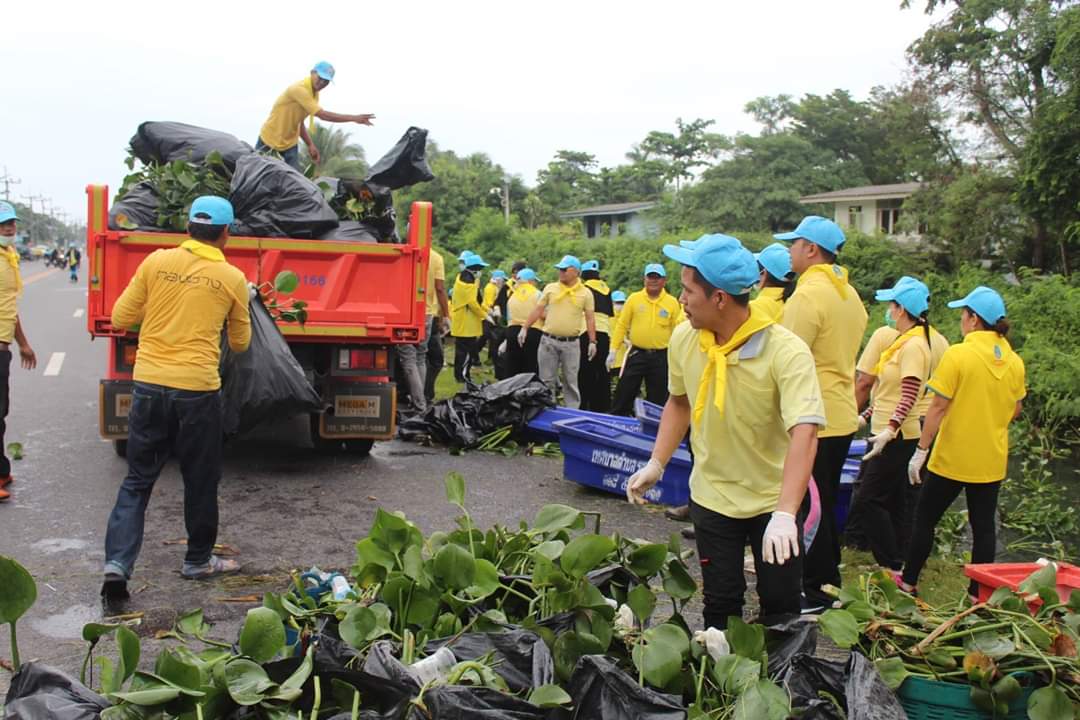 พช.ปัตตานี ร่วมโครงการจิตอาสา หน่วยพระราชทานและประชาชนจิตอาสา “เราทำความ ดี ด้วยหัวใจ” ร่วมกันทำกิจกรรมบำเพ็ญประโยชน์กำจัดวัชพืช