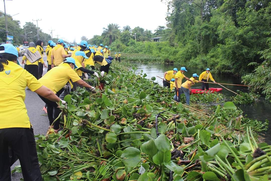 พช.ปัตตานี ร่วมโครงการจิตอาสา หน่วยพระราชทานและประชาชนจิตอาสา “เราทำความ ดี ด้วยหัวใจ” ร่วมกันทำกิจกรรมบำเพ็ญประโยชน์กำจัดวัชพืช
