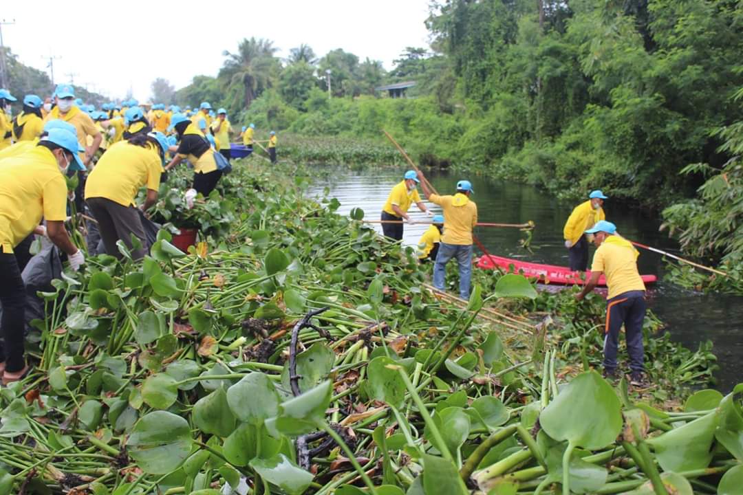 พช.ปัตตานี ร่วมโครงการจิตอาสา หน่วยพระราชทานและประชาชนจิตอาสา “เราทำความ ดี ด้วยหัวใจ” ร่วมกันทำกิจกรรมบำเพ็ญประโยชน์กำจัดวัชพืช