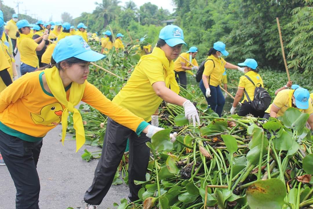 พช.ปัตตานี ร่วมโครงการจิตอาสา หน่วยพระราชทานและประชาชนจิตอาสา “เราทำความ ดี ด้วยหัวใจ” ร่วมกันทำกิจกรรมบำเพ็ญประโยชน์กำจัดวัชพืช