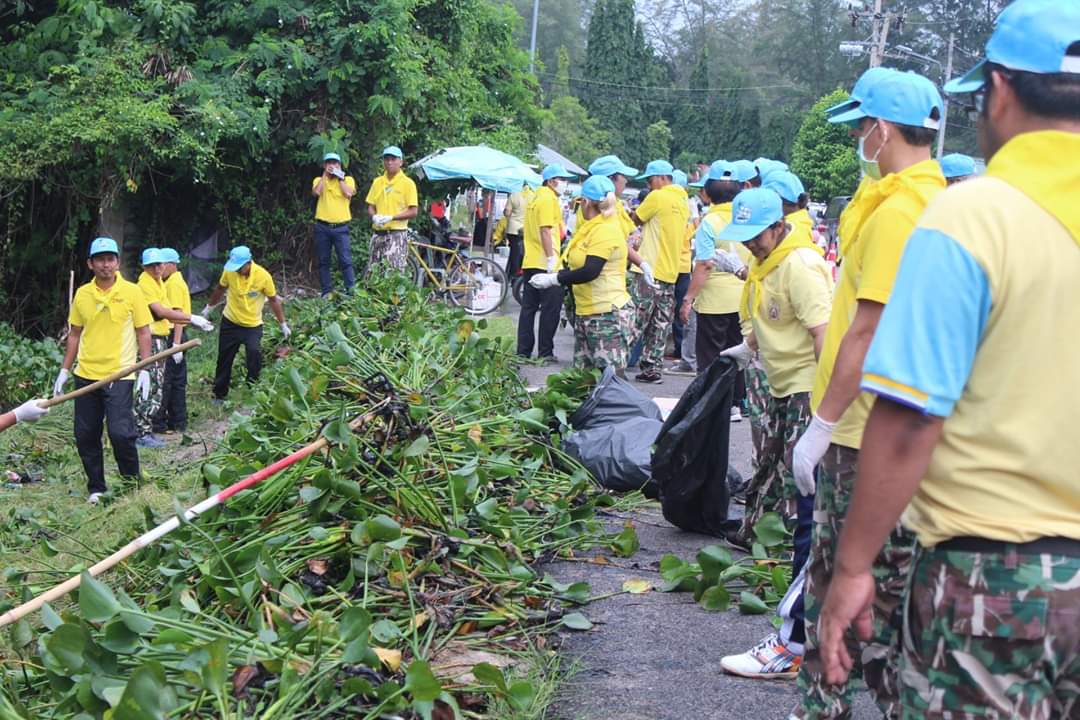 พช.ปัตตานี ร่วมโครงการจิตอาสา หน่วยพระราชทานและประชาชนจิตอาสา “เราทำความ ดี ด้วยหัวใจ” ร่วมกันทำกิจกรรมบำเพ็ญประโยชน์กำจัดวัชพืช