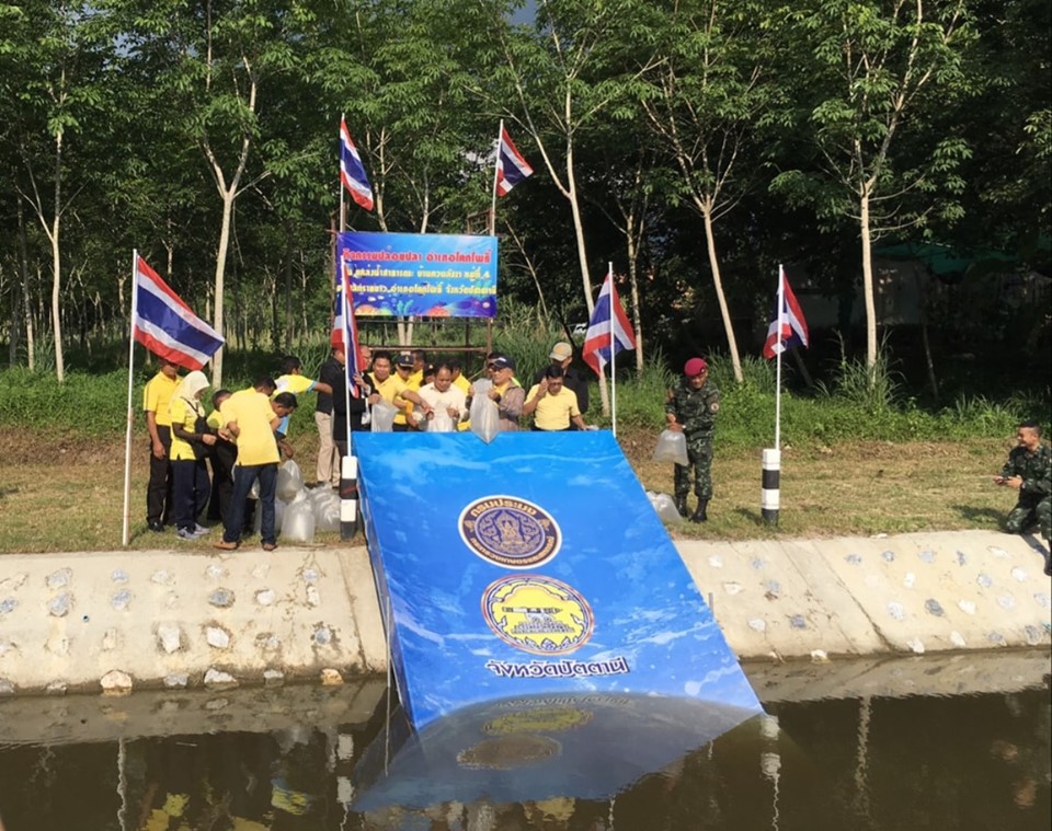 ” พัฒนาชุมชนจังหวัดปัตตานี ร่วมกิจกรรมจังหวัดเคลื่อนที่ บริการประชาชน พื้นที่อำเภอโคกโพธิ์ ปัตตานี “