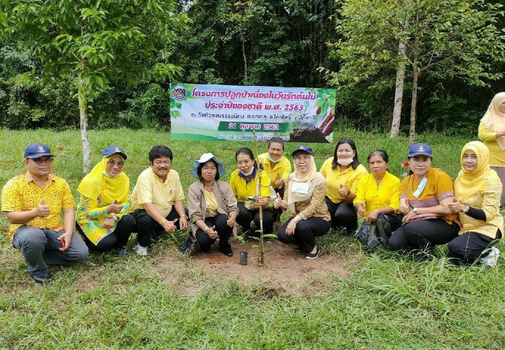 กิจกรรม : พช.ปัตตานี ชวนชุมชนร่วมกิจกรรมปลูกต้นไม้ เนื่องใน “วันรักต้นไม้ ประจำปีของชาติ พ.ศ. ๒๕๖๓”