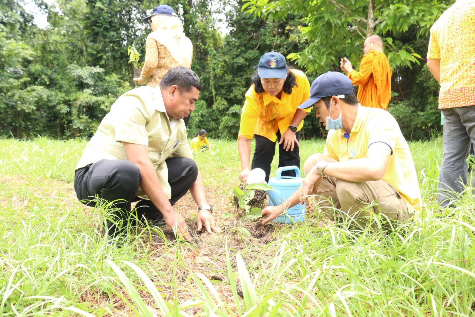 กิจกรรม : พช.ปัตตานี ชวนชุมชนร่วมกิจกรรมปลูกต้นไม้ เนื่องใน “วันรักต้นไม้ ประจำปีของชาติ พ.ศ. ๒๕๖๓”