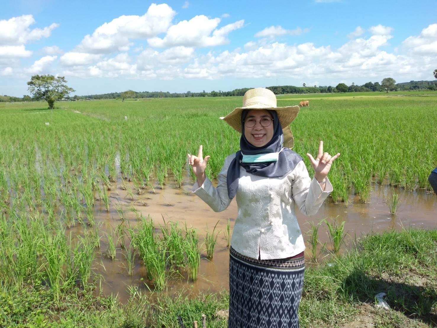 กิจกรรม : พช.ปัตตานี ลงพื้นที่ อำเภอโคกโพธิ์ เตรียมความพร้อมแลกเปลี่ยนเรียนรู้กิจกรรม “โคก หนอง นา โมเดล”