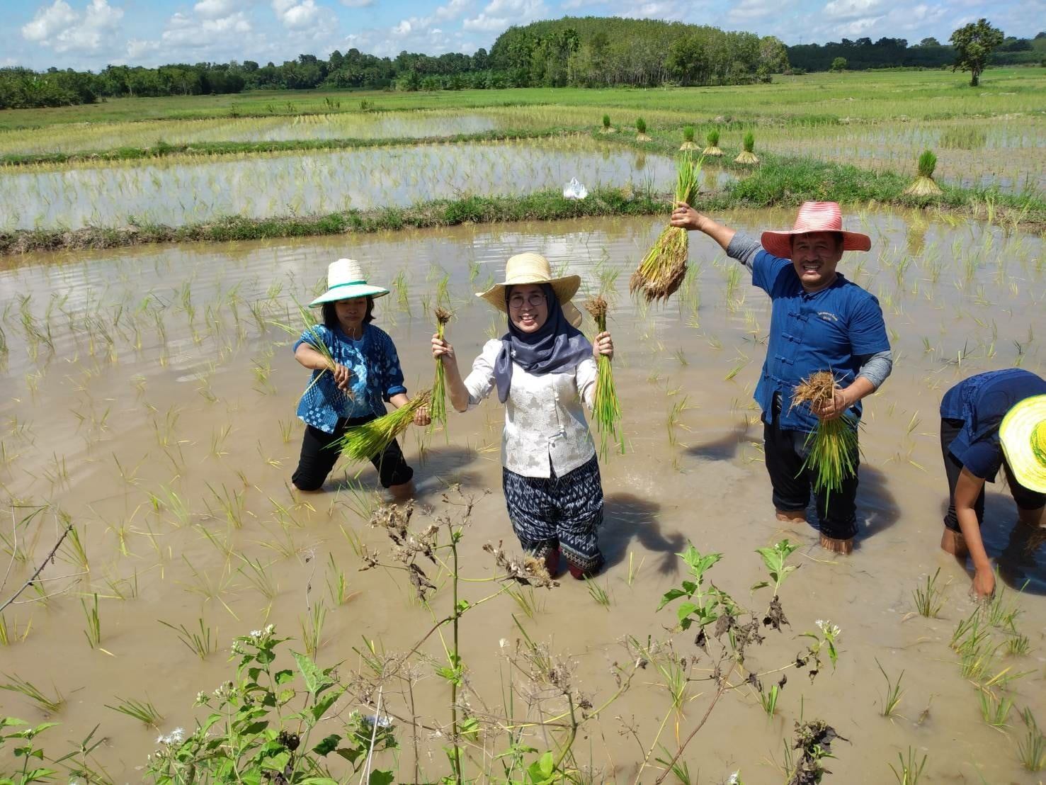 กิจกรรม : พช.ปัตตานี ลงพื้นที่ อำเภอโคกโพธิ์ เตรียมความพร้อมแลกเปลี่ยนเรียนรู้กิจกรรม “โคก หนอง นา โมเดล”